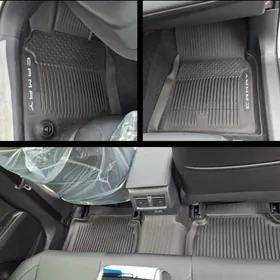 Arginal kowryk 2025 Kemri