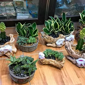 цветочный магазин