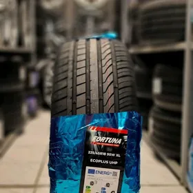 225/45R18 FORTUNA
