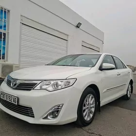 Toyota Camry 2013