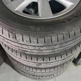 Gujuk Wersa Nisan Suny 15 lik