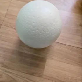 Düýeguş yumurtgasy suwenir üç