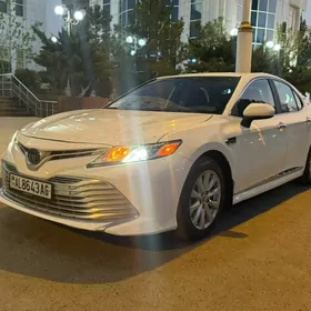 Toyota Camry 2019