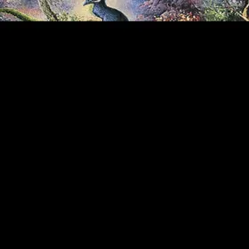 Наволочки гобеленовые