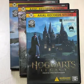PC oýun Hogwarts Legacy