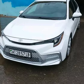 Toyota Corolla 2021