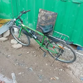 Turkmenistan Salcona