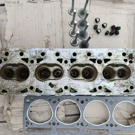 GOLWKA. 469  KOLOTKA. TORM