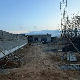 Eyesinden Bekrewe 8 sotuk!