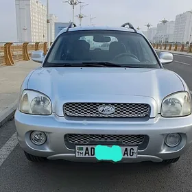 Hyundai Santa Fe 2002