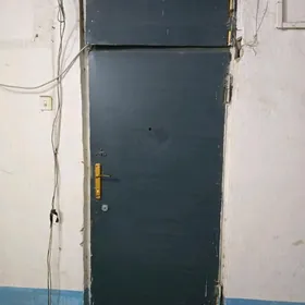 железная дверь