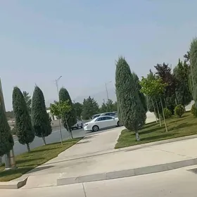 OFIS AŞGABAT YALKYM