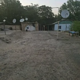 30mkr 25 Sotok Howly Jay