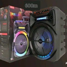 Uly kalonkalar ️️