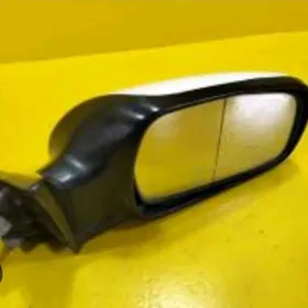 Максима задние вид