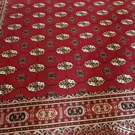 HALY HALY PALAS ALYAS