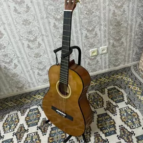 gitara stoyka