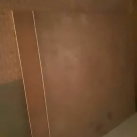 Paner gurlushyk ucin