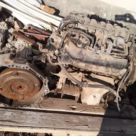 Максима Матор