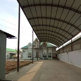 anew plan ýewro full Amatly