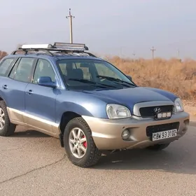 Hyundai Santa Fe 2002
