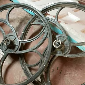 диска трикавой