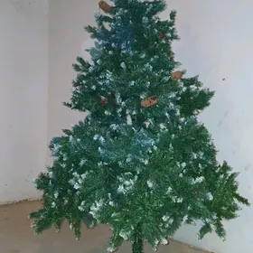 Arça ýolka ёлка