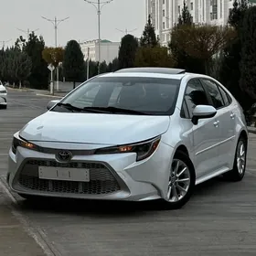 Toyota Corolla 2021