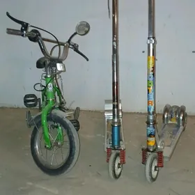 Çaga tigir we samakatlar