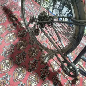 welik yaponiski 26 lyk