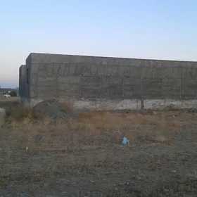 satlyk. jay baherden