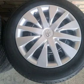 karolla diska pakryska 16 lyk