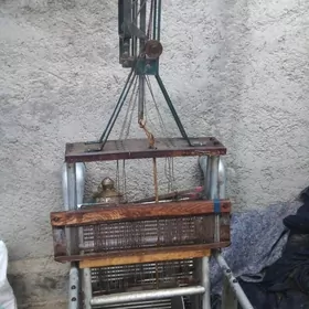 cccp sssr gadym keteni dokayan