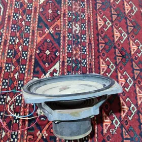 Bass bocga hem kalonka