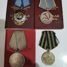 Medal arginal