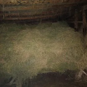 ЙОРУНЖА БЕДЕ АРАСА