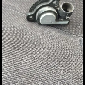 balyk gulak balykgulak