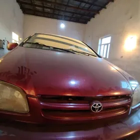 sienna zawatiskoy cuşe farq on