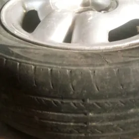 14lik diska pakryska