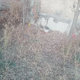 верхкиркинка дача насозны яны