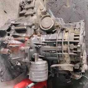 Nissan Sunny karopka