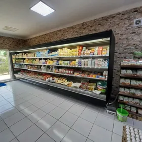 witirina haladilnik SIR KALBAS