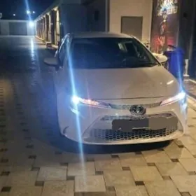 Toyota Corolla 2019