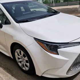 Toyota Corolla 2020