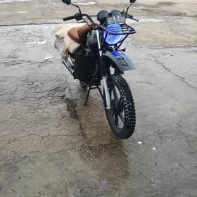 Fekon FK200-14G 2025