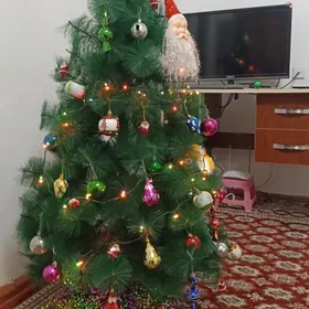 Elka,Елка,Арча,Arça