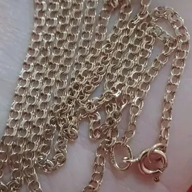 gyzyl kardinal boyun