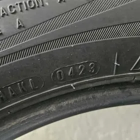 Teker 205.55.16 Rodestone