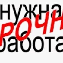 ищу работу  