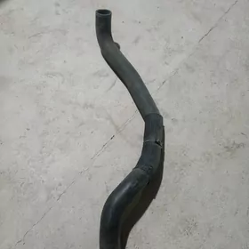 Nissan Sentra patrubka